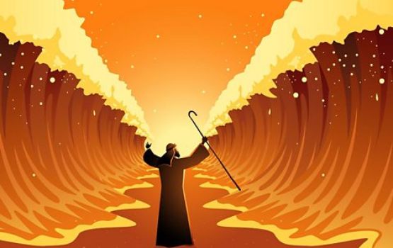 Moosa ge faanahtakaa Rai kandu dhefalhi kureee madu sikuthu kolhehge therreygai