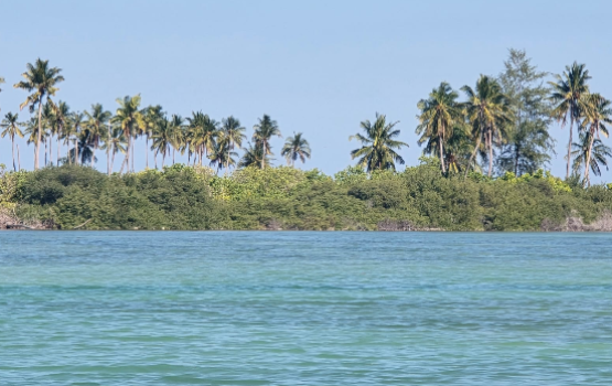 REPORT: Addu city Hithadhoo falhuvi Dhiyoge kulhivarakee haqeegatheh tha?