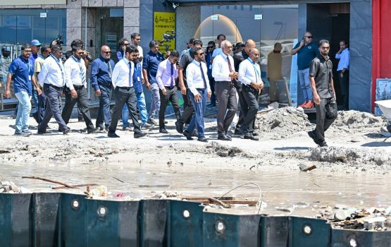Bodutakurufaanu magu tharaggee kurumuge mashroouge masakkaiy Raeesuljumhooriyyaa ballavaalavvaifi