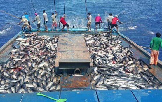 Raajjeyge kandu mahuge masverikamah furathama faharah America ge haassa rating eh!