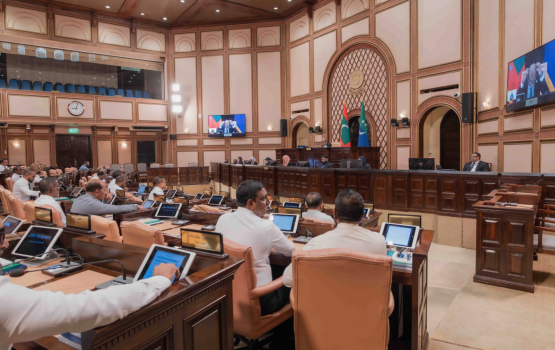 OPINION: Majilis feshun, dhe party ge udhaasthah council inthihaabuge natheejaa ah!