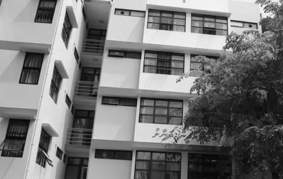 Dhanaal gai niyaavi zuvaanaa: Fuluhun amalu kuri goiy review kuranee