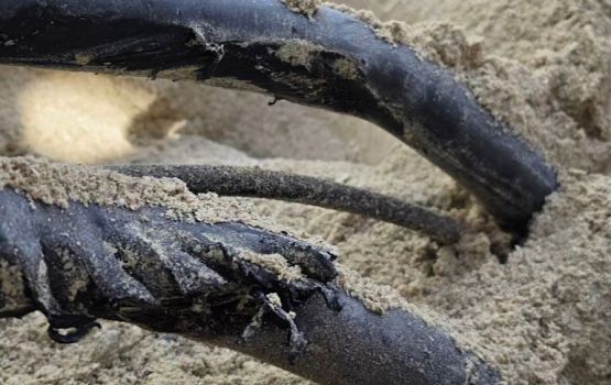 Hulhumale’ in current kendunee magu hedhumuge therein cable akah gellun vegen: STELCO