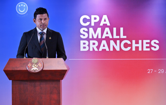 Kudhi gaumuthakugai harudhanaa minivan gaanoonu hadhaa majilisthakeh binaa kurun muhinmu: Naibu Raees