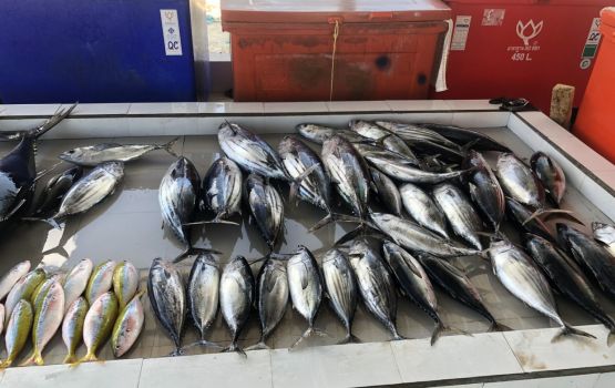 Hulhumale' gai gaaimukohffaivaa vaguthee mas market kuyyah dheyn hulhuvaalanee