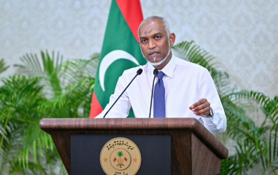 Govt working to criminalize bullying