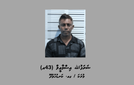 Kudakujjakah jinsee goana kuri meehaku 15 aharah jalah
