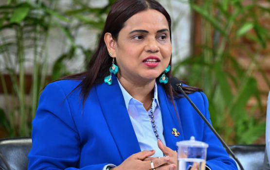 ECOSOC ah inthihaabuvumakee bainalaguvaamee gothun raees ge haarijee siyaasathu balaiganna kamuge hekkeh: Iruthishaam