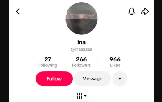 TikTok accounteh medhverikoh makaraai heelathun faisaa haodhaathee samaaluvaan edhefi 