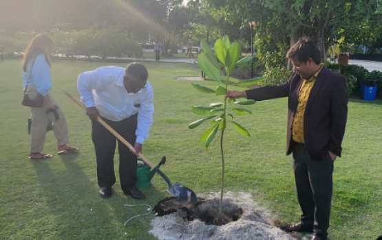 India joins Maldives independence day tree planting initiative