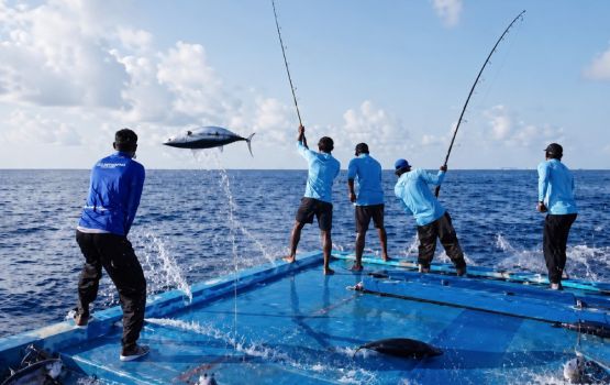 Masverikamah Dhivehin hoadhan undhagoo kamah Minister Shiyam vidhaalhuvejje