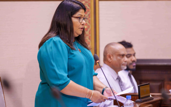Mashroou thakah kanda elhi faisaa midhiya sarukaarun nahama gothugai beynun kohfaivey: Geela