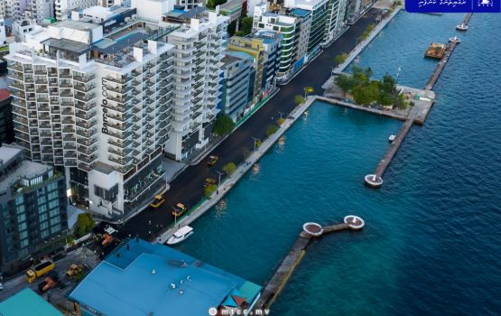 Boduthakurufaanu maguge bodubaehgai thaarualhaa ninmaifi