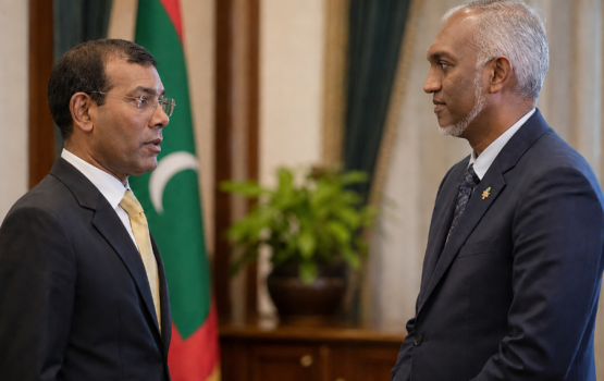 REPORT: Dollar ge kalhubaazaaraai tharahqeege masroouthah: Siyaasee koalhumeh!