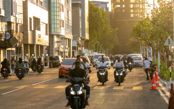 Boduthakurufaanu magu tharaggeekurun: rayyithunge thaureefu Sarukaarah