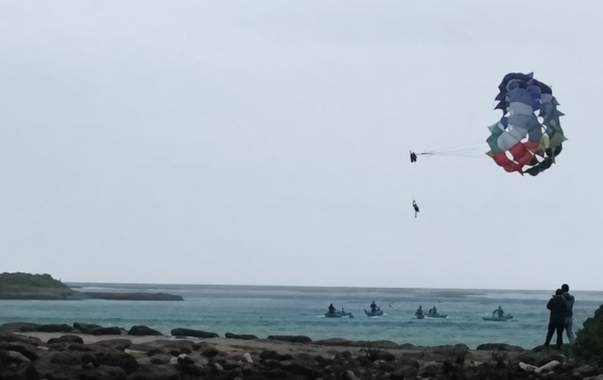 Gadha vayaaeku Maafusheegai paressiling vai kudaeh falhaigen gos ekaku vettunee moodhah!