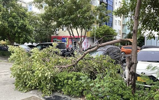 Hulhumale ah varah vai gadha, Construction site thakun samaalu vey