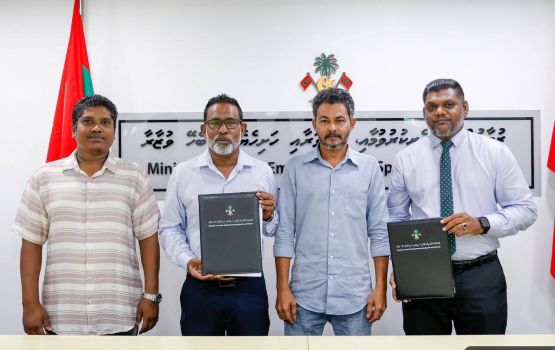 3 Rashehgawi handball court elhumah havaalukohffi