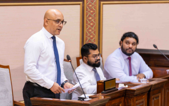 Siyaasee fikurah balaigane kunfuni thakun muvazzafun vaki nukuraane: Economic Minister