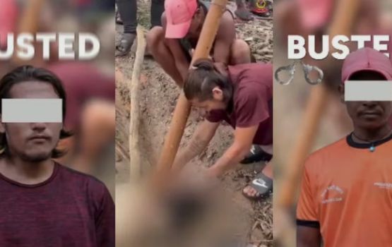Nepal: Maruvi meehunge hashigandun gahanaa vagah negi 2 meehaku hayyaru kohffi