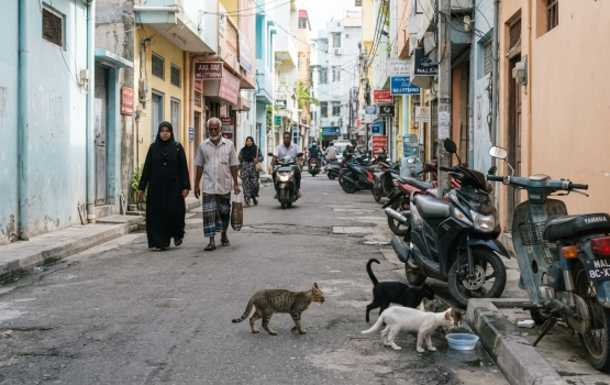 OPINION: Dhivessakah vure bulhalaai bidheyseenge haqthah bodeetha?