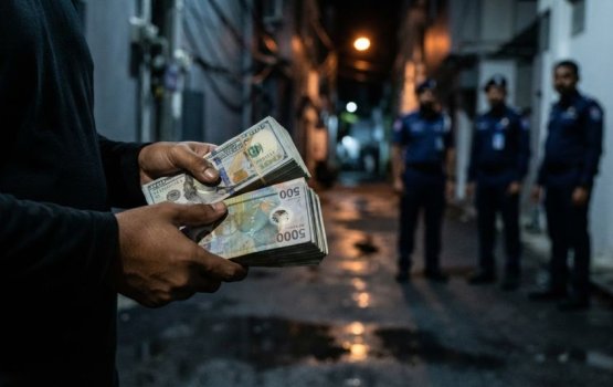Dollar Black Market hotline: 27 foreigners reported