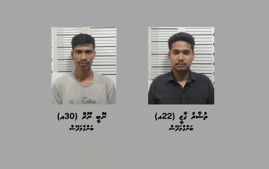 2 Foreigners arrested in Hulhumale' with 29 bottles of liquor