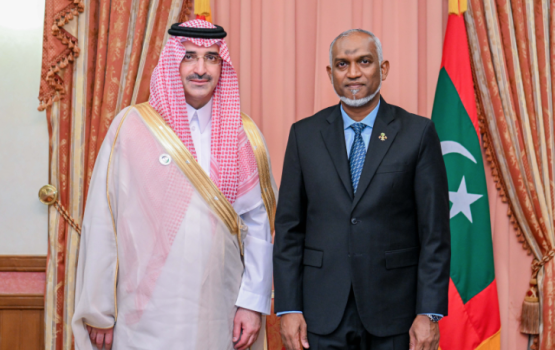 Saudi fund ge CEO Raajje vadaigenfi