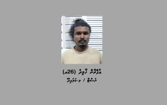 Park kohffai oih car ehggai jehi fili meehaa hayyarukoh, bandhah 10 dhuvas jahaifi 