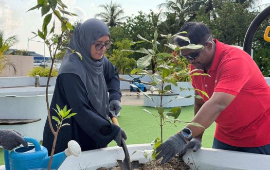 Ooredoo in Dhiffusheegai 