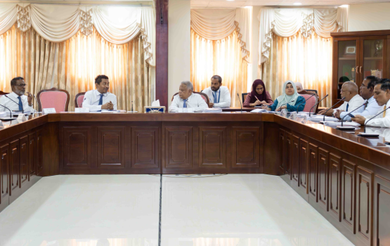 Audit offeehun husha'helhi gothah 133 million rufiya ge budget eh dheyn Committee in faas kohffi