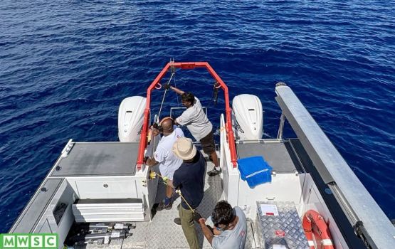 Male' sarahahdhuge kandu adeegai fen ufahdhaa nizameh gaaimukurumuge amalee dhiraasaa fashaifi