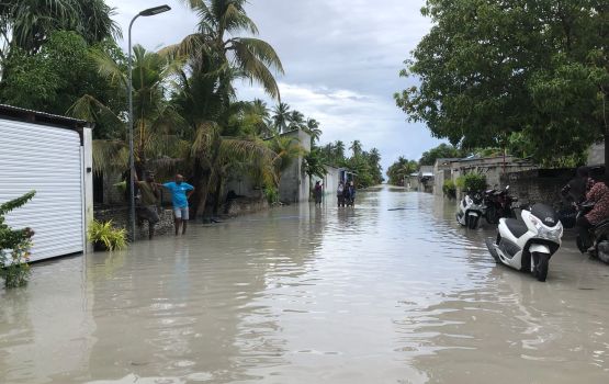 Fiyoaree gai fenboduve 90 insahtha gethakah fen vadhejje 