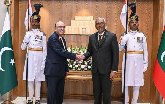 President Muizzu meets his Pakistani Counterpart